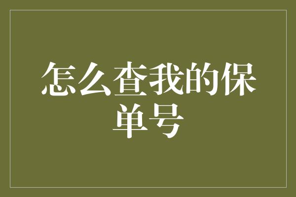 怎么查我的保单号