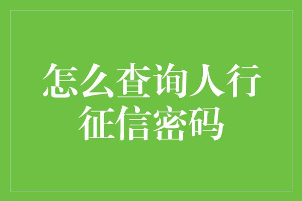 怎么查询人行征信密码