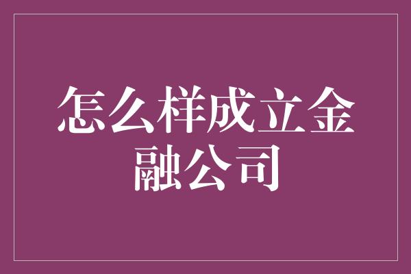 怎么样成立金融公司