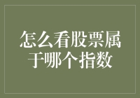 如何准确判断股票属于哪个指数：专业指南