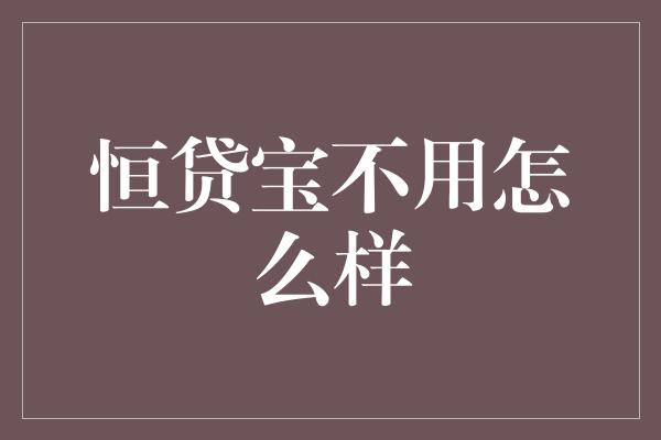 恒贷宝不用怎么样