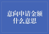 意向申请金额，一场金钱与文字的奇妙约会