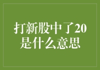 新股申购，中签20股意味着什么？