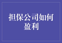 专业视角下的担保公司盈利之道：策略与实践