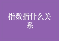 指数之谜：探讨指数在数学中的深层含义与应用