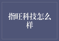 指旺科技：数字化时代的金融服务新星