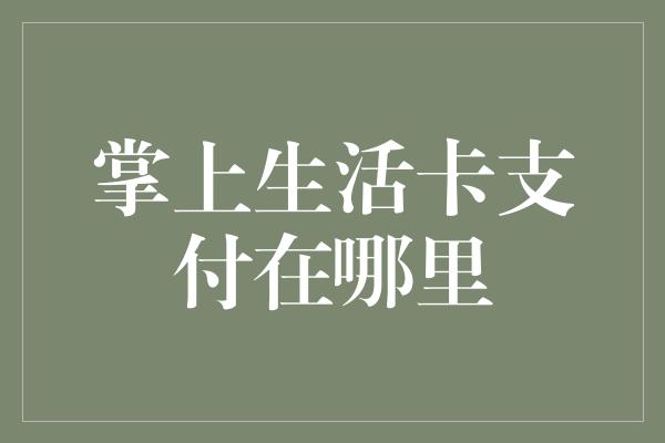 掌上生活卡支付在哪里