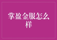 掌盈金服：金融科技领域的创新引领者