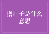 华语网络流行语撸口子的深度解读