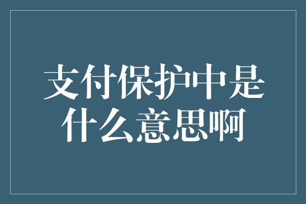 支付保护中是什么意思啊