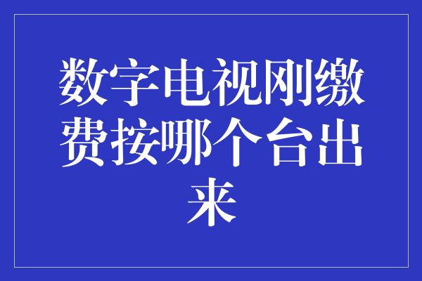 数字电视刚缴费按哪个台出来