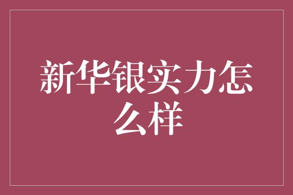 新华银实力怎么样