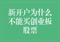 新开户投资者为何不能直接购买创业板股票