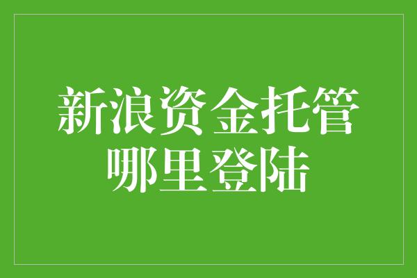 新浪资金托管哪里登陆