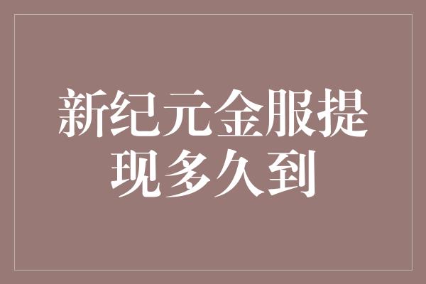 新纪元金服提现多久到