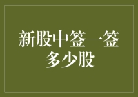 新股中签的意义与规则解析：一签究竟多少股？