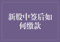 新股中签后的缴款流程详解与注意事项