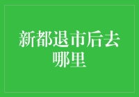 新都退市后，企业何去何从：多元化与创新之路