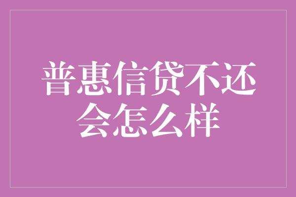 普惠信贷不还会怎么样