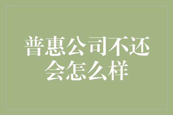 普惠公司不还会怎么样