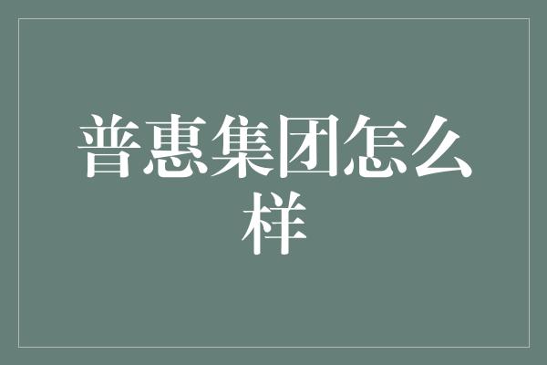 普惠集团怎么样