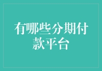 中国主流分期付款平台概览与解析