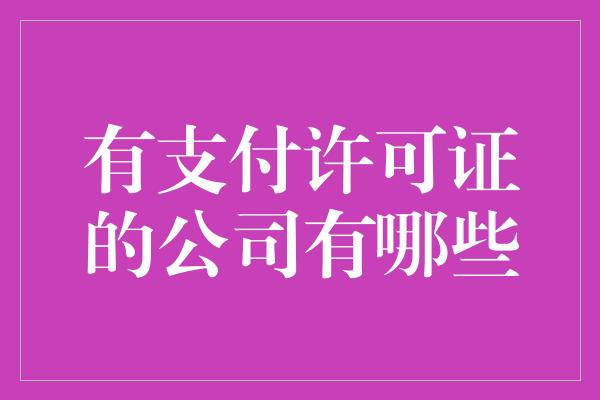 有支付许可证的公司有哪些