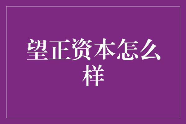 望正资本怎么样