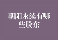 朝阳永续的股东们：一群神秘的投资者