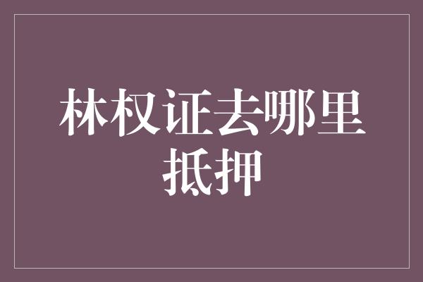 林权证去哪里抵押