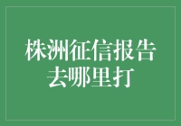 株洲市征信报告获取指南：详析办理流程与注意事项