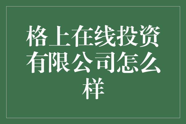 格上在线投资有限公司怎么样