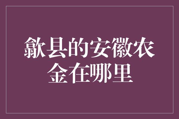 歙县的安徽农金在哪里