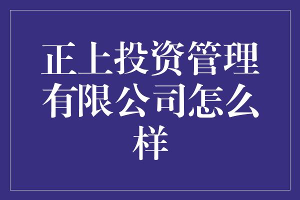 正上投资管理有限公司怎么样