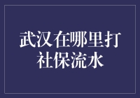 社保流水查询攻略：武汉市民的福利秘籍