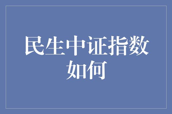 民生中证指数如何