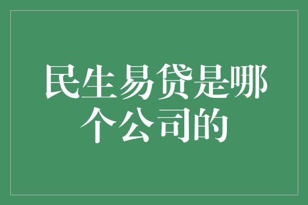 民生易贷是哪个公司的