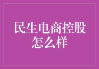 民生电商控股：构建现代电子商务的坚实基石