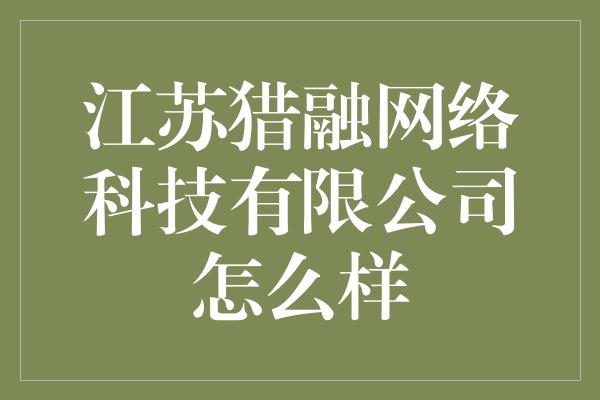 江苏猎融网络科技有限公司怎么样