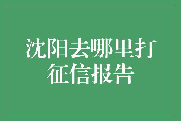 沈阳去哪里打征信报告