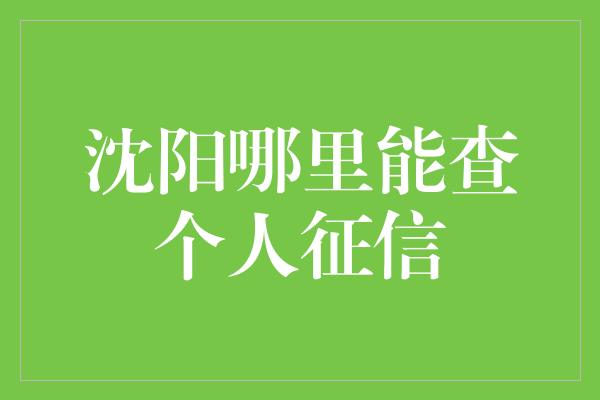 沈阳哪里能查个人征信