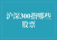 沪深300指哪门子的股票？