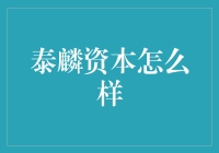 泰麟资本：金融界的创新者和赋能者