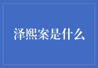 泽熙案究竟是什么？