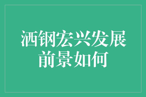 洒钢宏兴发展前景如何