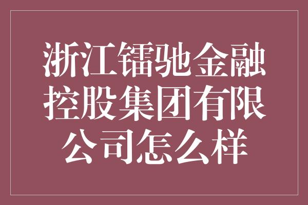 浙江镭驰金融控股集团有限公司怎么样