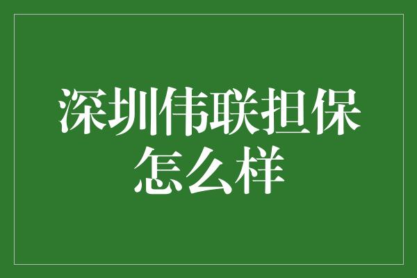 深圳伟联担保怎么样