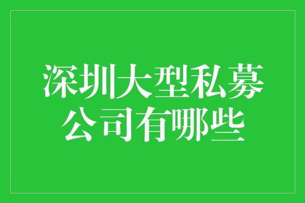 深圳大型私募公司有哪些