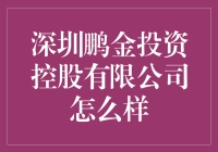 深圳鹏金投资控股有限公司：金融界的山寨版大富翁？