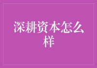 深耕资本的那些神秘面纱：一场趣味十足的投资之旅